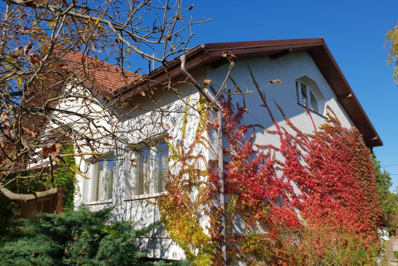 Borowe Kt Villa Warka Exteriör bild