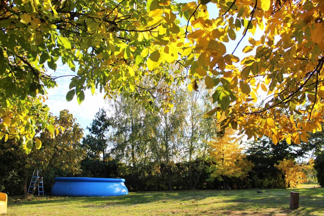 Borowe Kt Villa Warka Exteriör bild